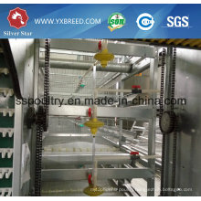 H Type Chicken Cages Poultry Equipment